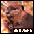 beavers