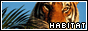 habitat - the endangered species clique